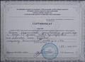 Сертификат участия в работе XIII городской методической недели работников дошкольного образования 2019 г. Сертификат участия в работе XIII городской методической недели работников дошкольного образования 2019 г.